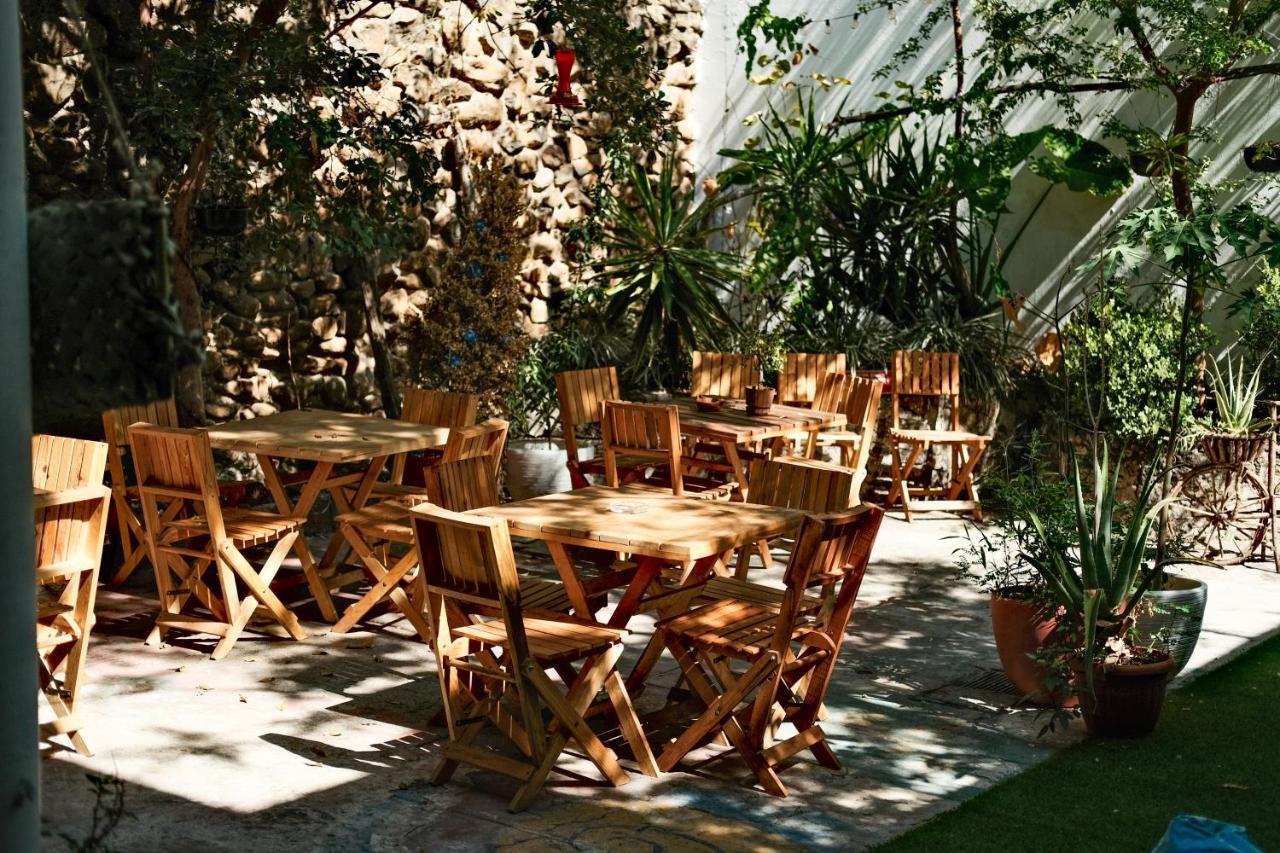 Leveli Coliving Hostel Guadalajara Kültér fotó